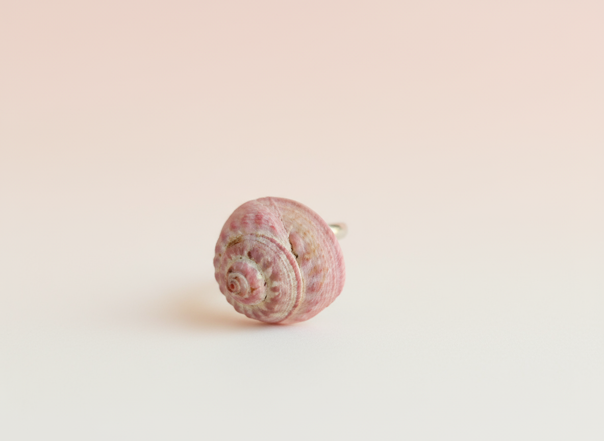 Anillo con caracola marina natural