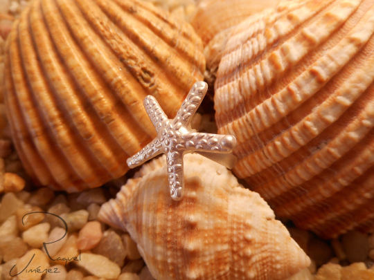 anillo ajustable estrella de mar