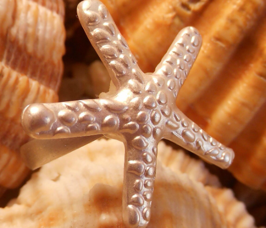 anillo ajustable estrella de mar
