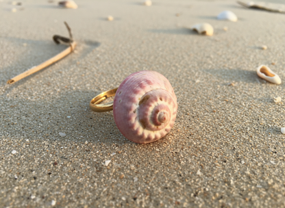 Anillo con caracola marina natural