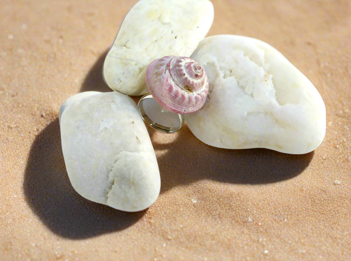 Ring with natural sea shell