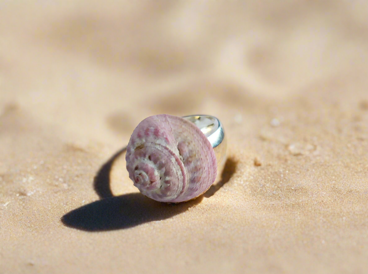 Ring with natural sea shell