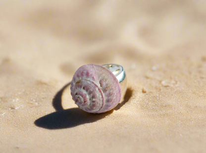 Ring with natural sea shell